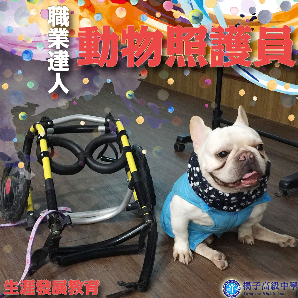 職業達人-動物照護員